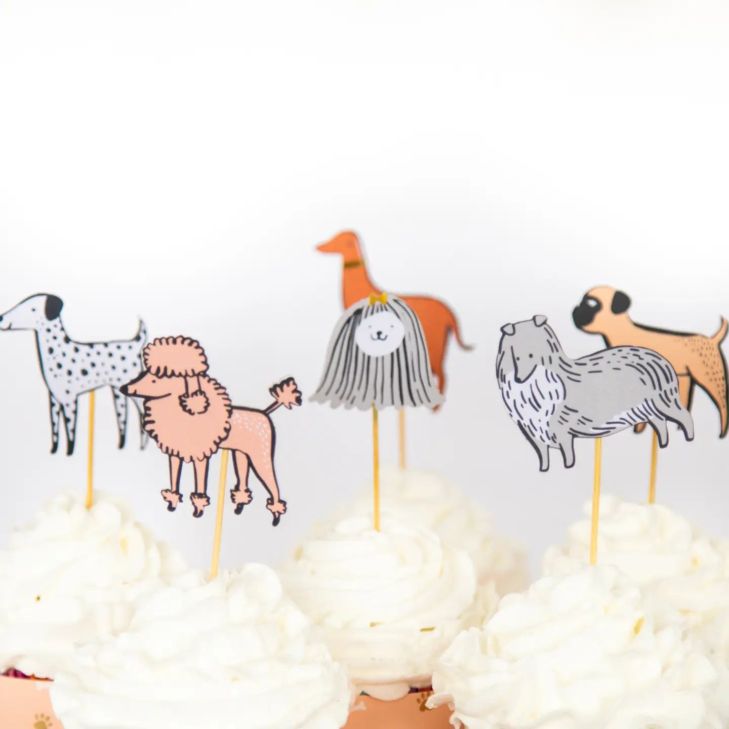 Cupcake Decorating Set