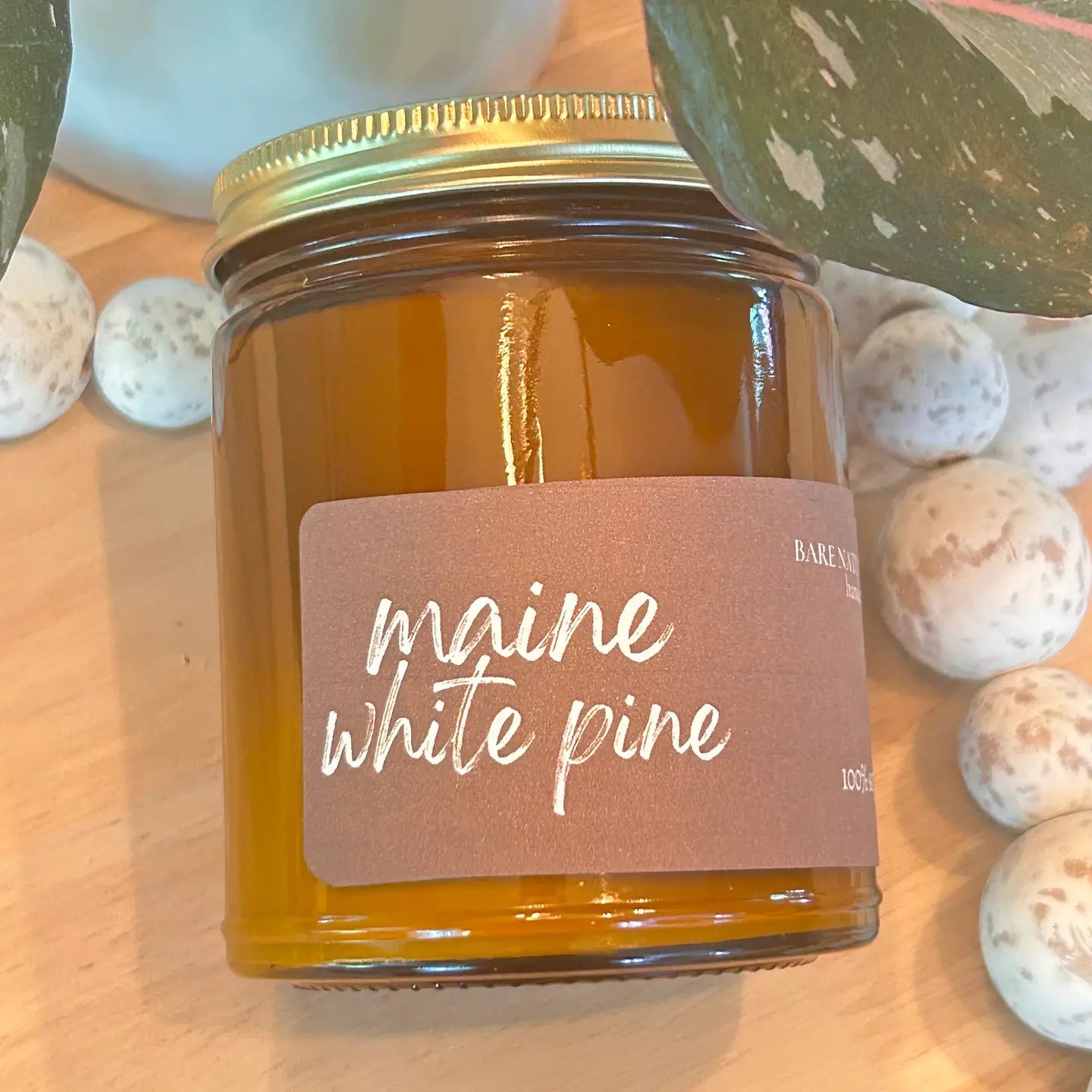 Maine White Pine Soy Jar Candle