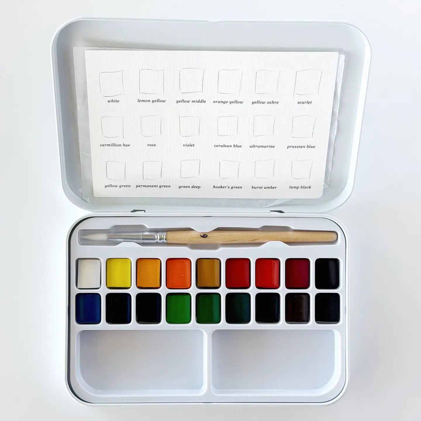 Watercolor Paint with Brush