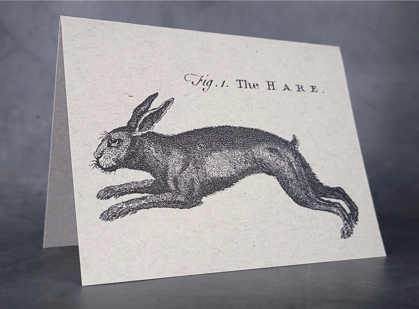 "Rabbits" Recycled Note Cards | Boxed Set | Luxury