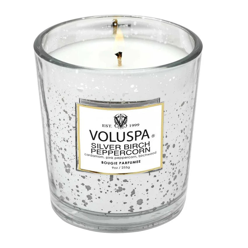 Voluspa Silver Birch 9oz Boxed Speckle