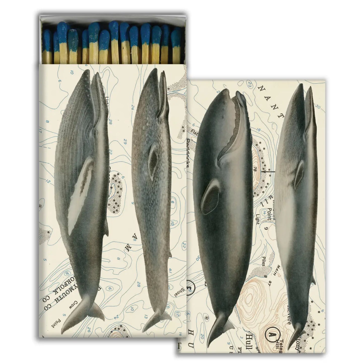 Match - Whales