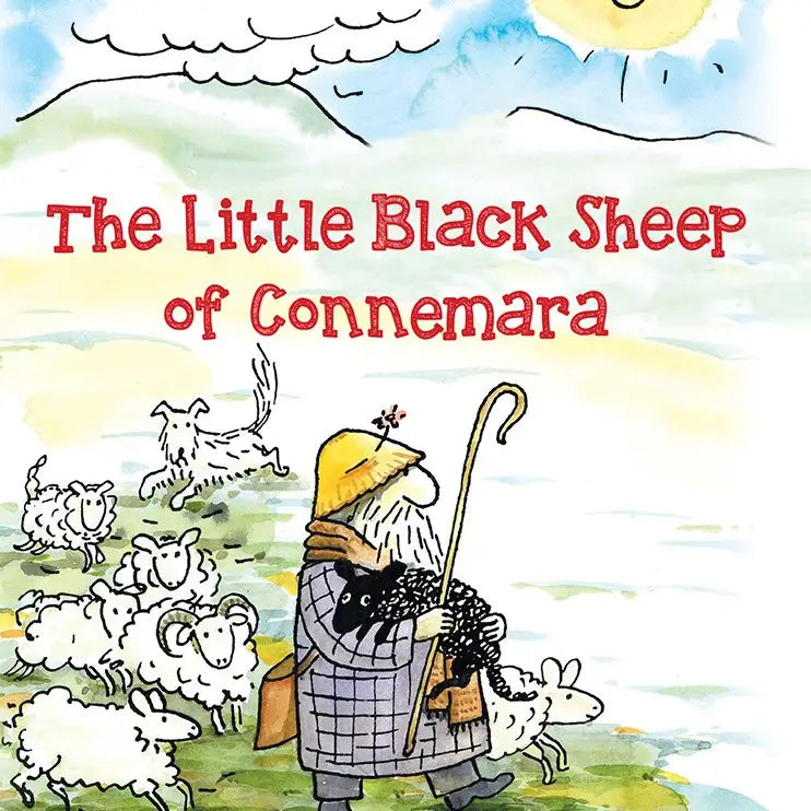 The Little Black Sheep of Connemara